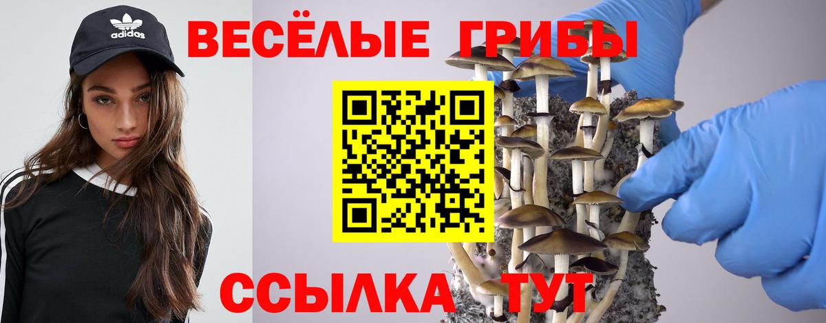Галлюциногенные грибы Psilocybine cubensis Ханты-Мансийск